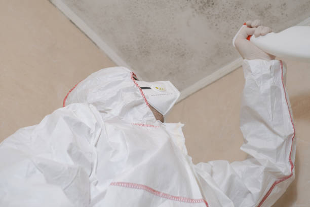 Best Residential Mold Removal  in USA